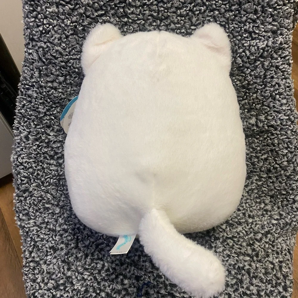 Kelsey the Fuzzy White Persian Cat